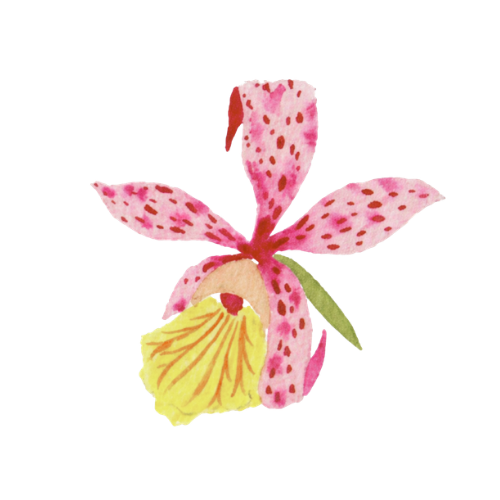 Flirty Florals